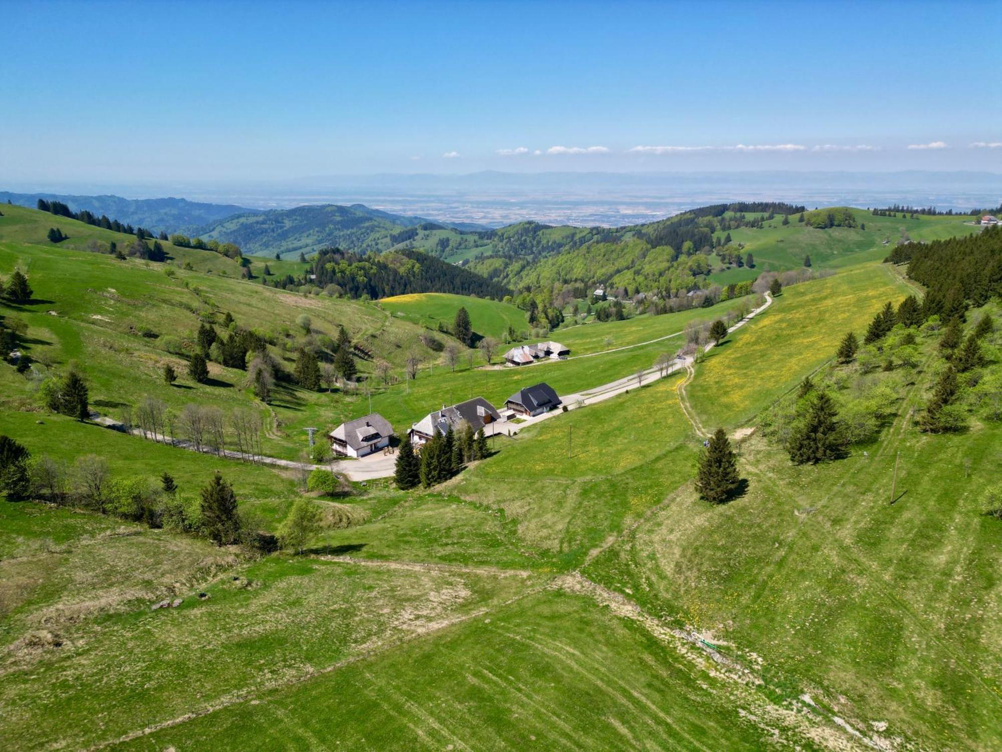 View House, Schauinsland, Black Forest Мюнстерталь Экстерьер фото